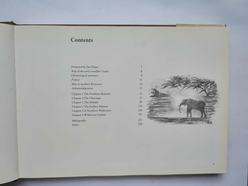 Botswana A Brush with the Wild by Paul Augustinus