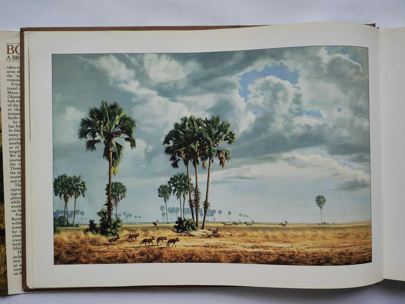 Botswana A Brush with the Wild by Paul Augustinus