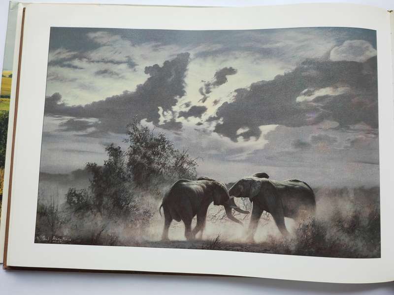 Botswana A Brush with the Wild by Paul Augustinus
