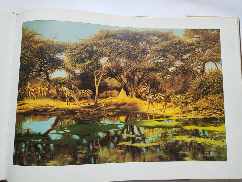 Botswana A Brush with the Wild by Paul Augustinus