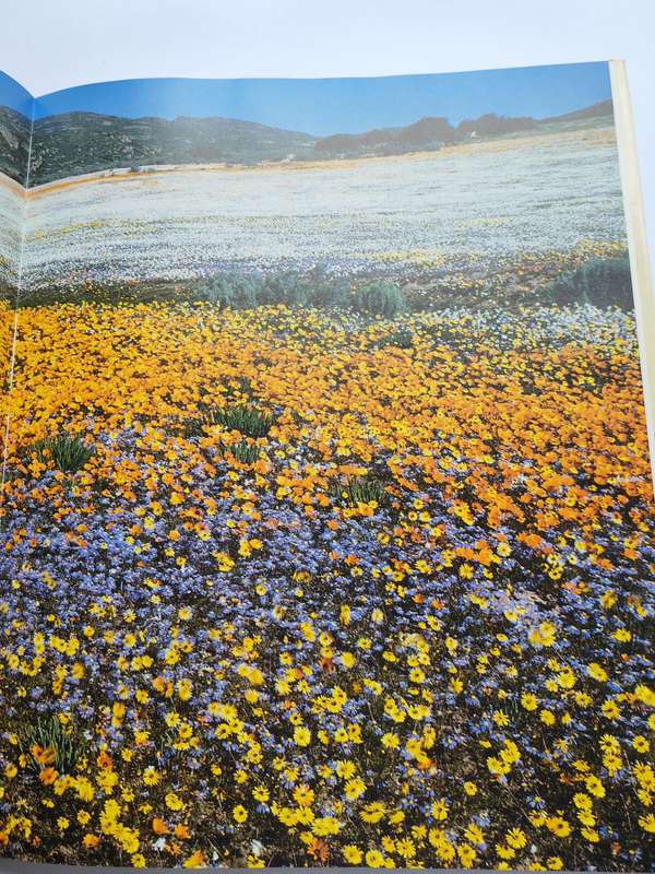 Namaqualand : Garden of the Gods -  Freeman Patterson "SIGNED"
