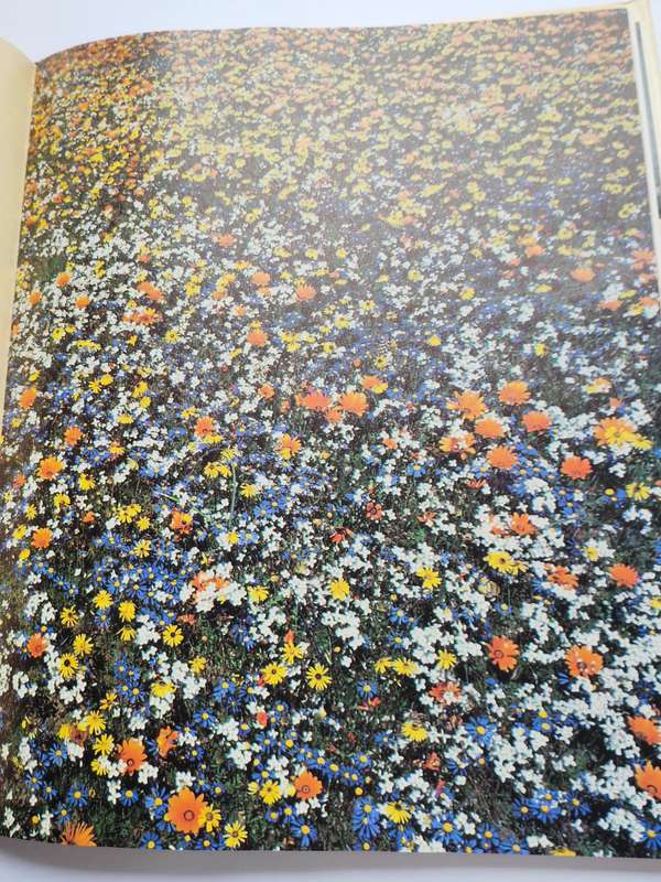 Namaqualand : Garden of the Gods -  Freeman Patterson "SIGNED"