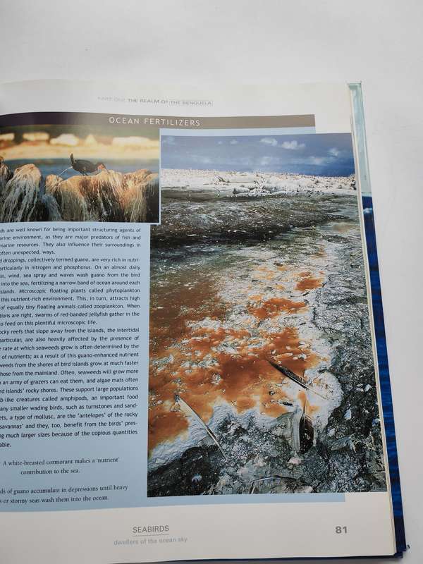 Currents of Contrast: Life in Southern Africa's two oceans - Thomas P. Peschak