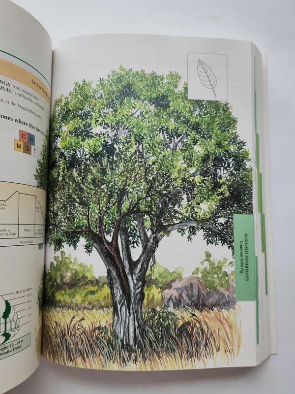 Sappi Tree Spotting BUSHVELD including Pilansberg and Magaliesberg by Lina Grant & Val Thomas