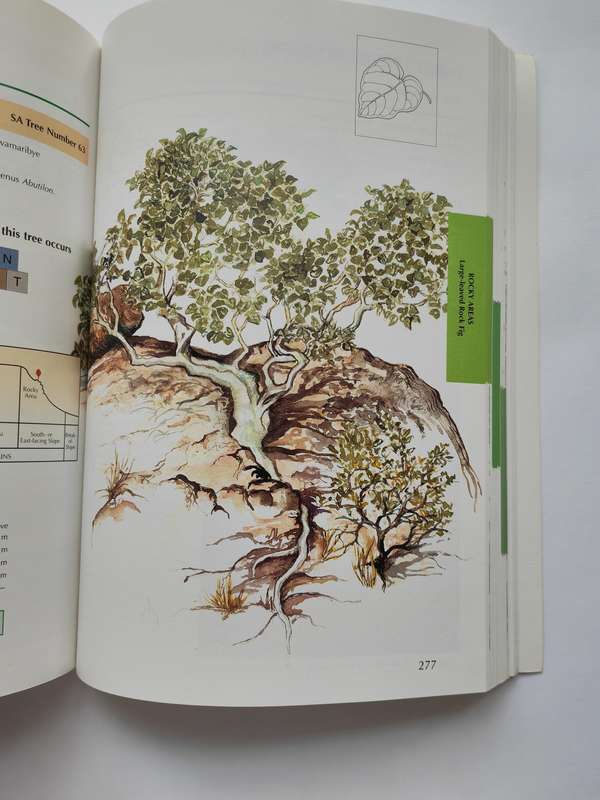 Sappi Tree Spotting BUSHVELD including Pilansberg and Magaliesberg by Lina Grant & Val Thomas