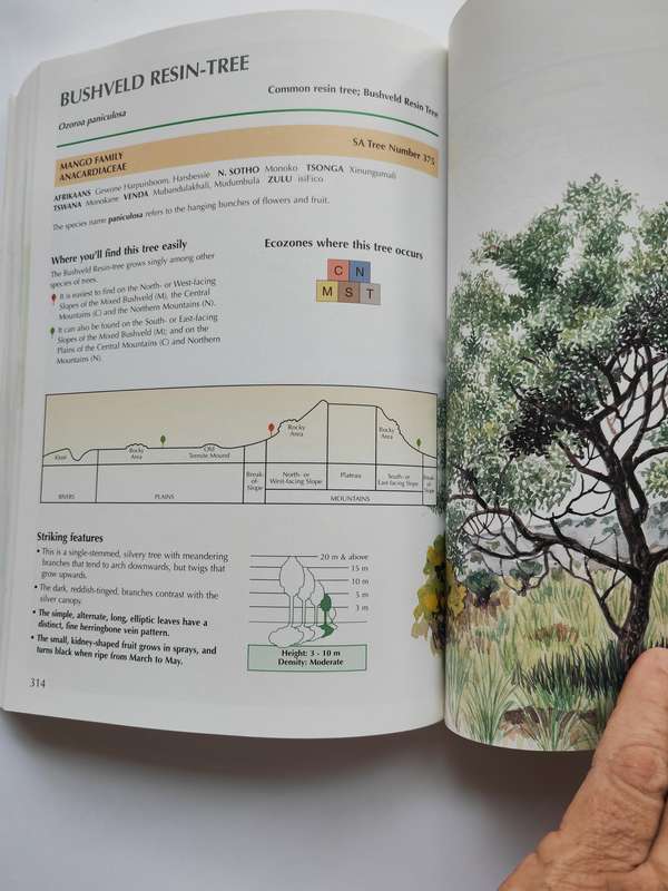 Sappi Tree Spotting BUSHVELD including Pilansberg and Magaliesberg by Lina Grant & Val Thomas