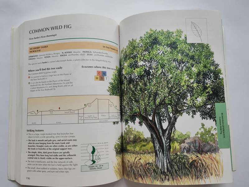 Sappi Tree Spotting BUSHVELD including Pilansberg and Magaliesberg by Lina Grant & Val Thomas