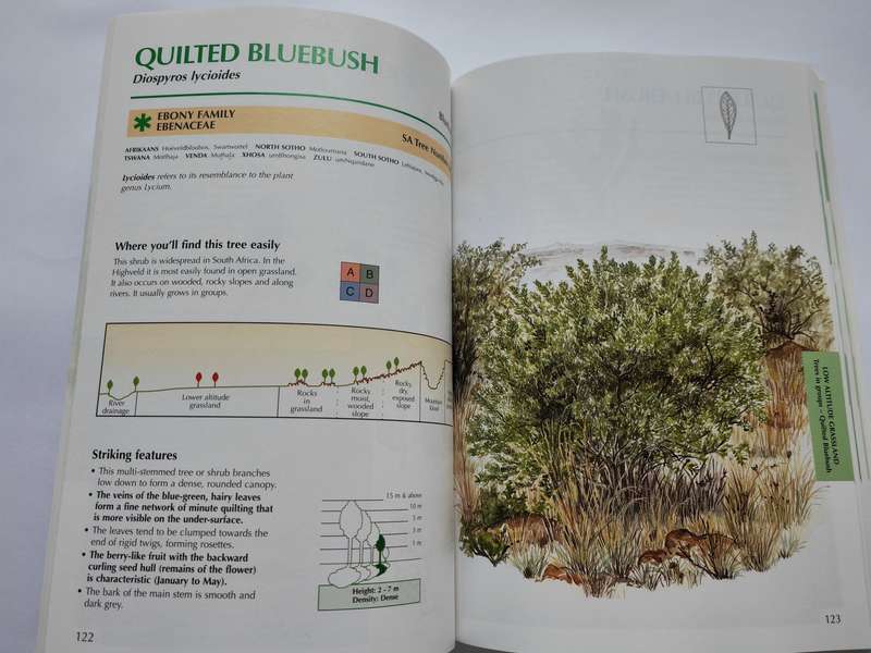Sappi Tree Spotting: HIGHVELD AND DRAKENSBERG by Val Thomas, Rina Grant