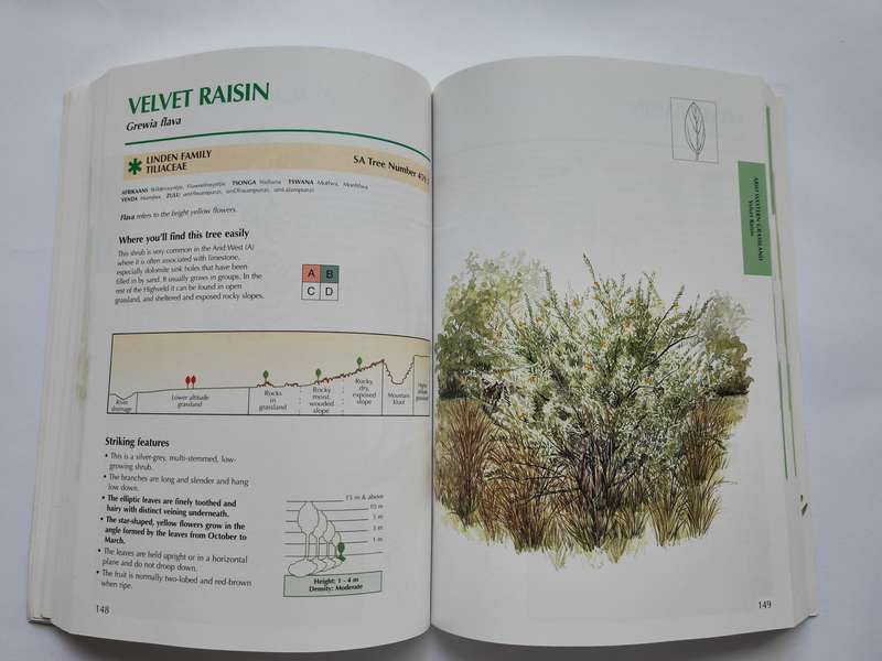 Sappi Tree Spotting: HIGHVELD AND DRAKENSBERG by Val Thomas, Rina Grant