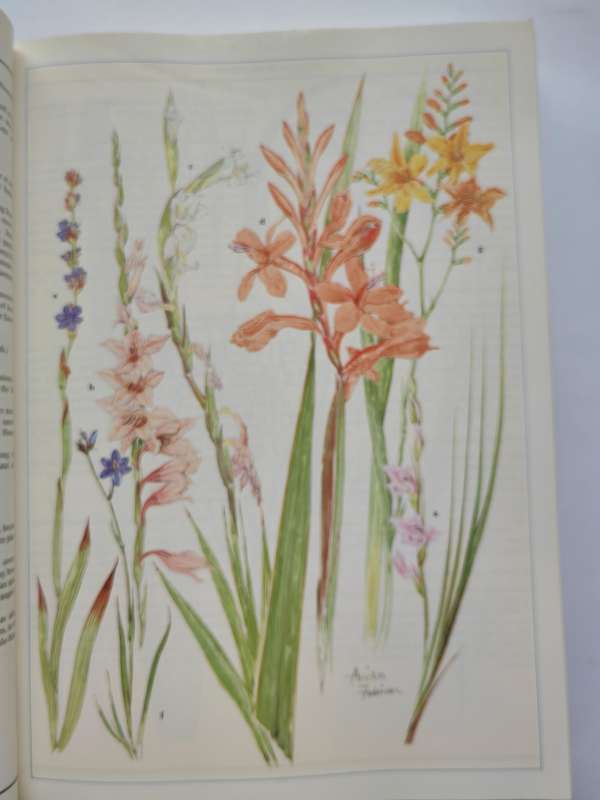 Wild Flowers of Northern South Africa by Gerrit Germishuizen & Anita Foure