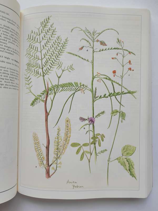 Wild Flowers of Northern South Africa by Gerrit Germishuizen & Anita Foure