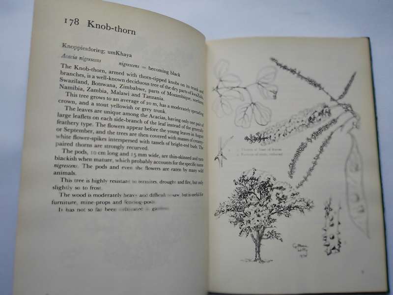 More Trees of South Africa by Cythna Letty