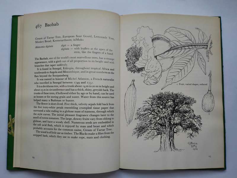 More Trees of South Africa by Cythna Letty