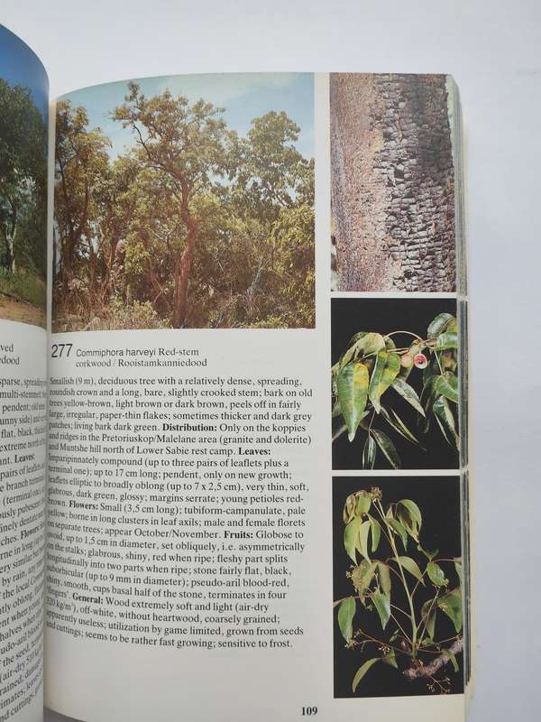 Field Guide to the Trees of The Kruger National Park by Piet van Wyk