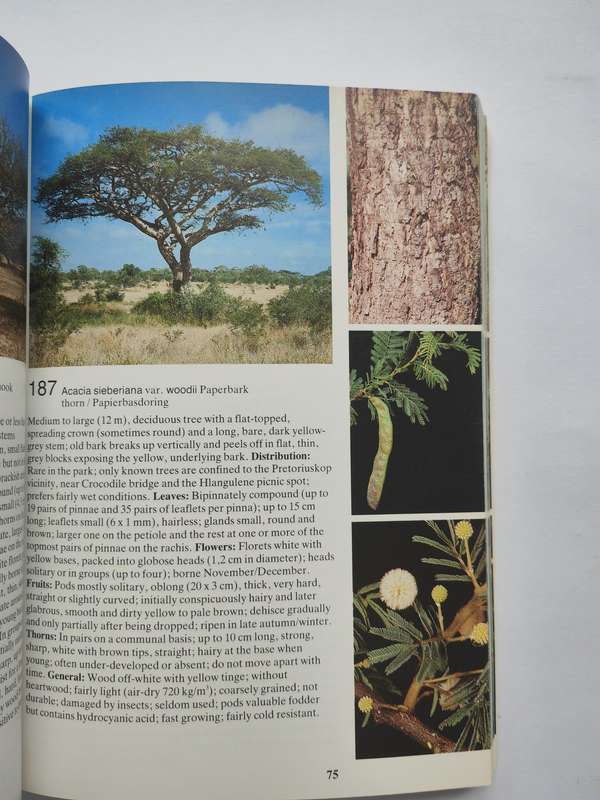Field Guide to the Trees of The Kruger National Park by Piet van Wyk