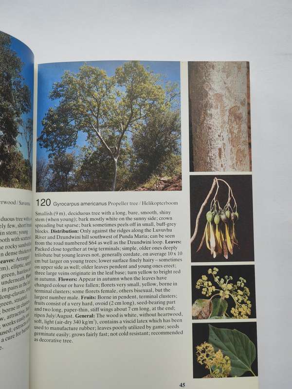 Field Guide to the Trees of The Kruger National Park by Piet van Wyk