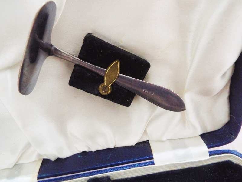 vintage ,,Nice  Dessert cutlery set IN BOX
