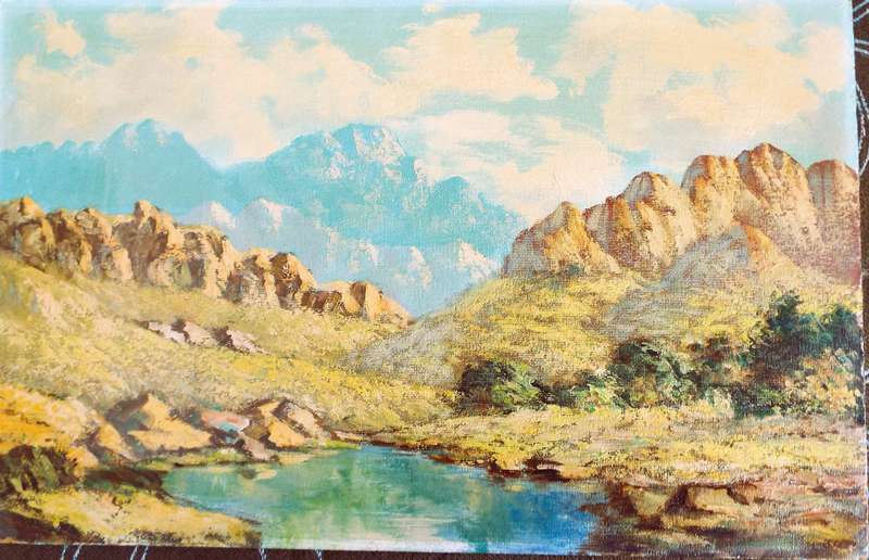 Wow oil on board ???????????????MUST LOOK MUST HAVE