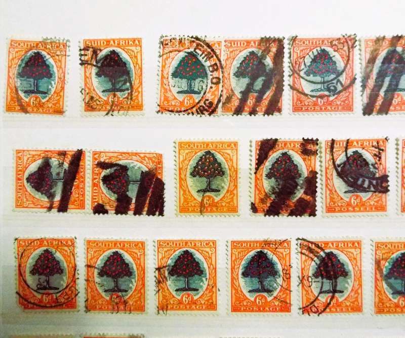 B2  ,,,80 X  SOUTH AFRICA - Orange Tree -  6D STAMPs