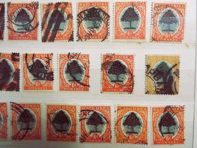 B2  ,,,80 X  SOUTH AFRICA - Orange Tree -  6D STAMPs