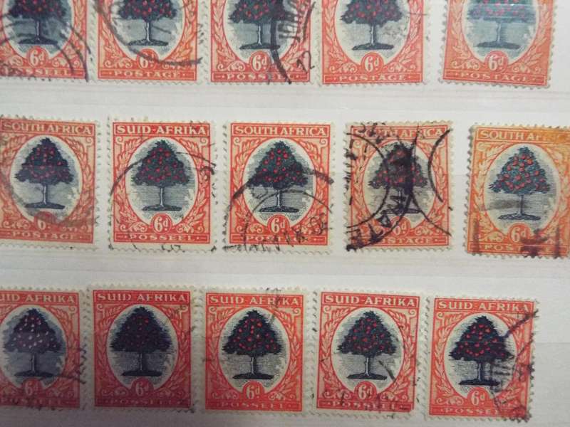B2  ,,,80 X  SOUTH AFRICA - Orange Tree -  6D STAMPs