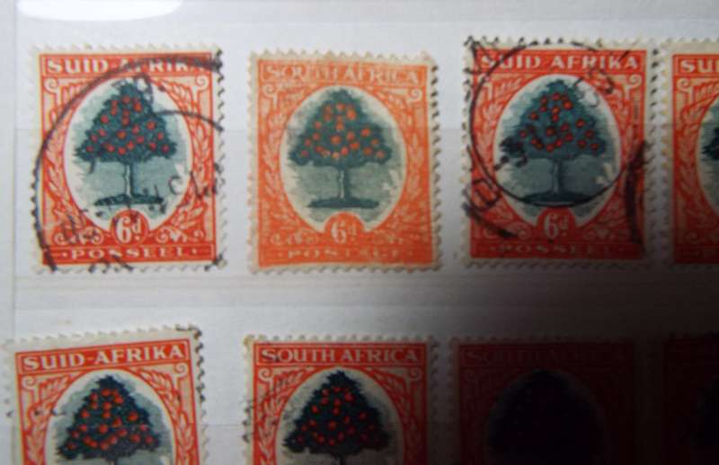 B2  ,,,80 X  SOUTH AFRICA - Orange Tree -  6D STAMPs