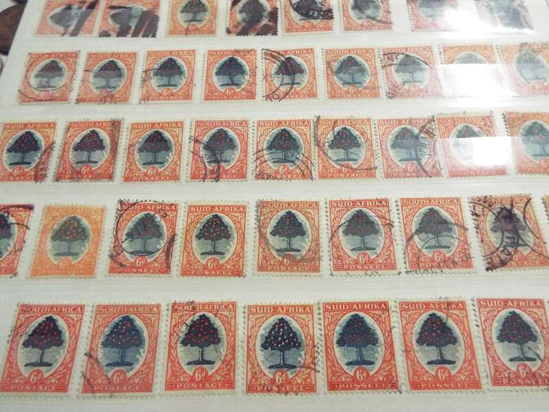 B2  ,,,80 X  SOUTH AFRICA - Orange Tree -  6D STAMPs