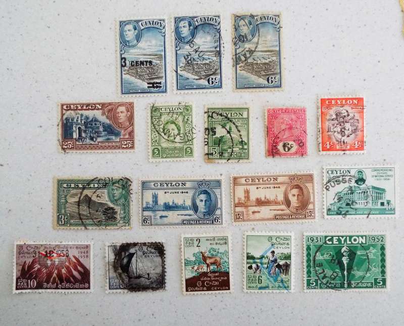 CEYLON LOT