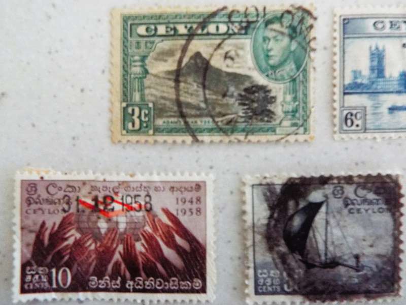 CEYLON LOT