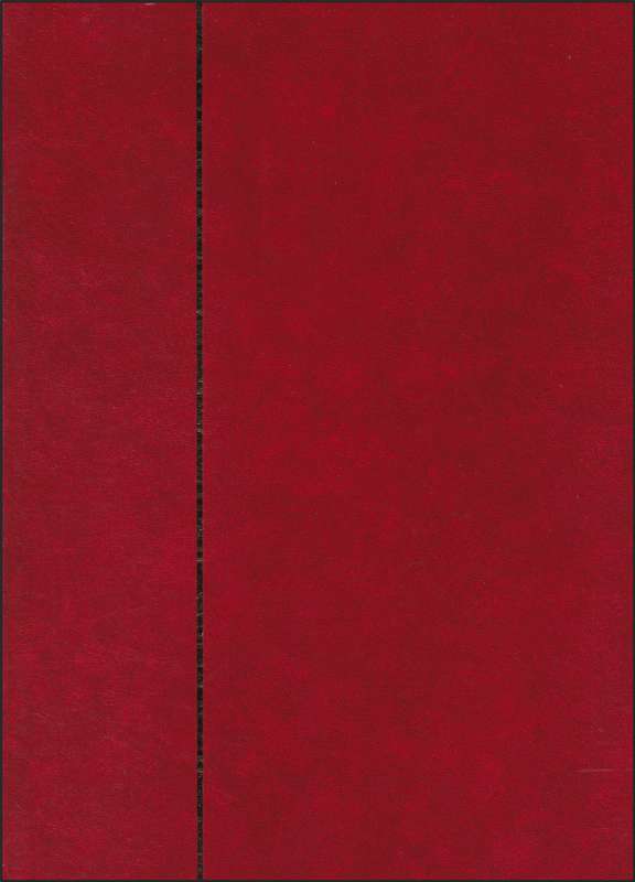 Red Stockbook (8 page/16 Sides) in Good Condition with Mint/Used Jamaica - Good Value