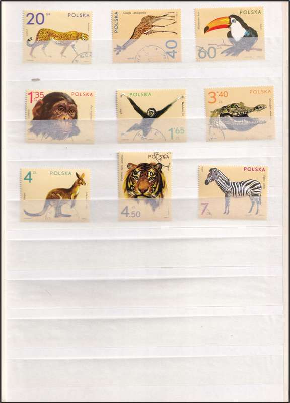 Lighthouse Stockbook (16 page/32 Sides) in Good Condition with Free Animal Stamps