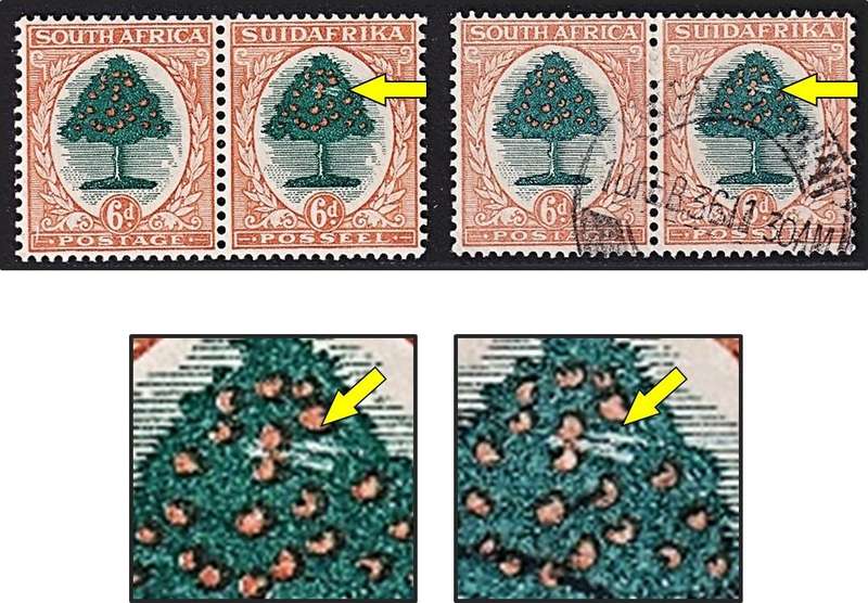 1930 Union 6d UMM(**) & VFU Roto Pairs - Both UHB Var.8 - Scratches in Tree/Spider Web