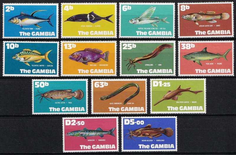 1970 Gambia Fishes MM(*) Set of of 13  - Excellet Thematic Set!