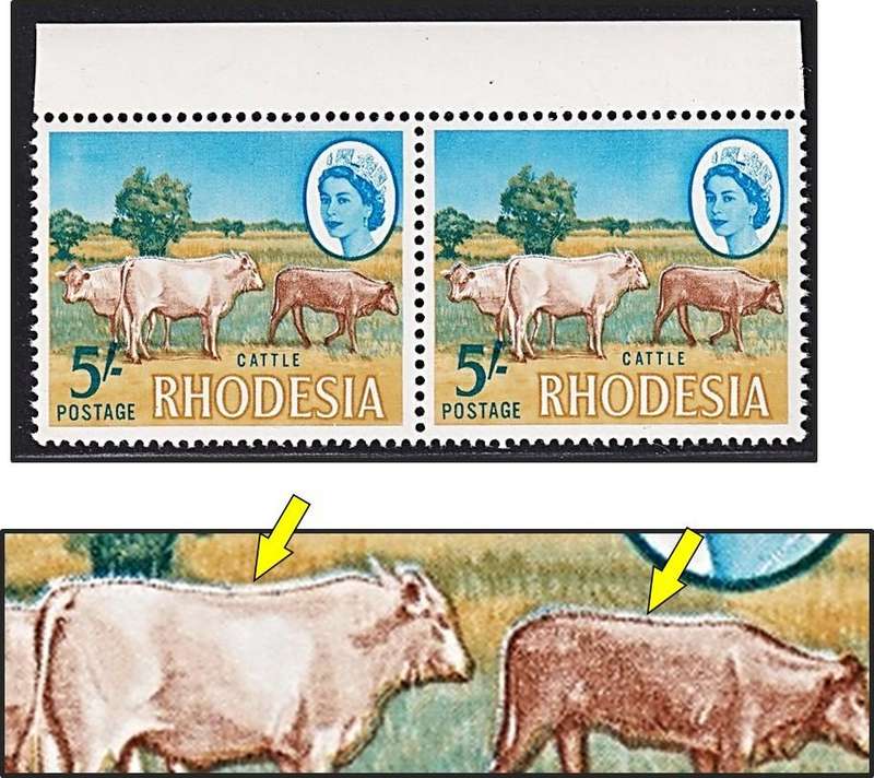 1966 Rhodesia 5/- UMM(**)  Flaw - Colour Shift/Blue Ridge on Cattle's Back