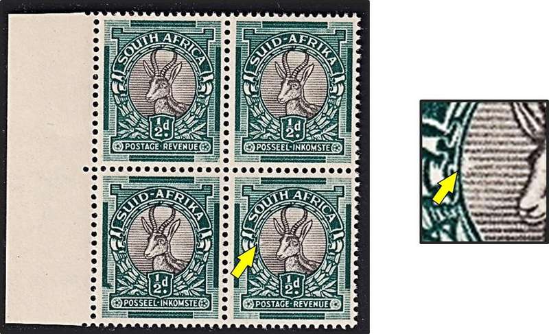 1950 Union ½d UMM(**) UHB Variety - White Smudge on Edge of Oval to Left of Buck