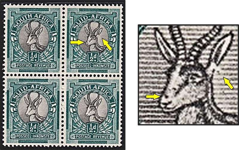 1950 Union ½d MM/UMM UHB Varieties - Split Horn & Spot on Nose - RARE!