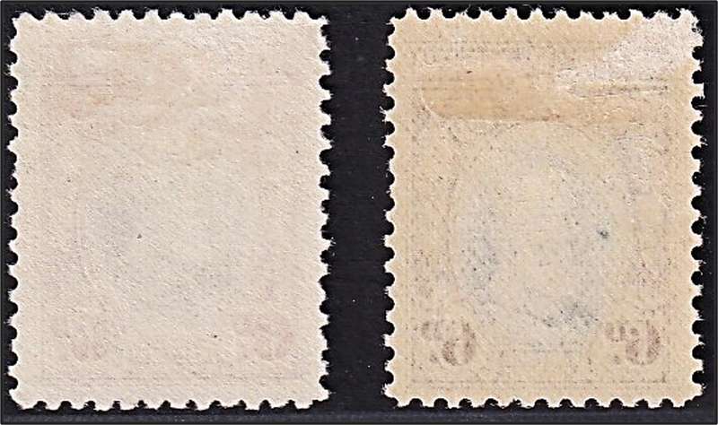 1931 Southern Rhodesia MM(*) 6d CC.21, Perf.12 Var - Vignette to Top & Bottom