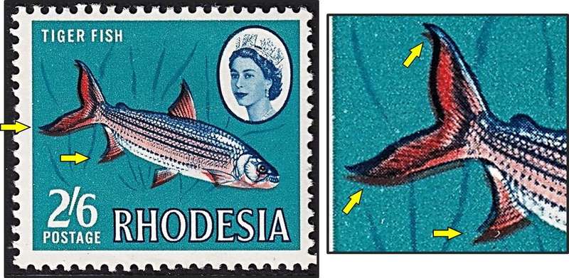 1966 Rhodesia 2/6  MM(*) with Red Colour Shift to Bottom (Double Fin Flaw)