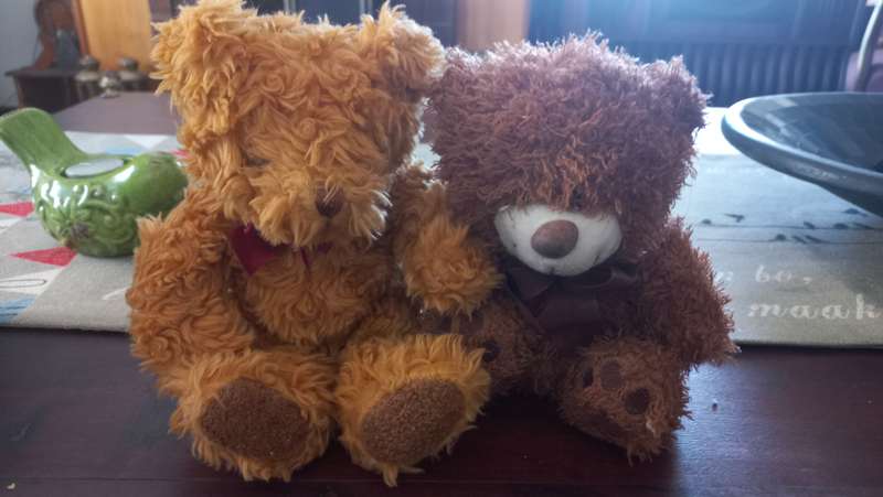 Teddy bears