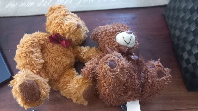 Teddy bears