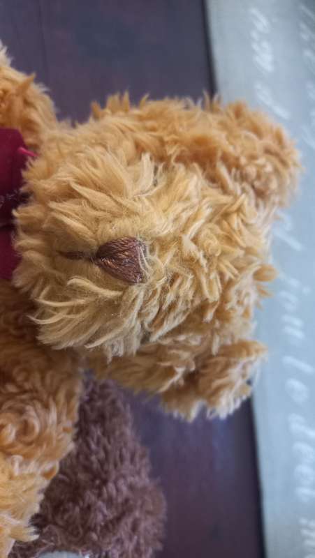 Teddy bears
