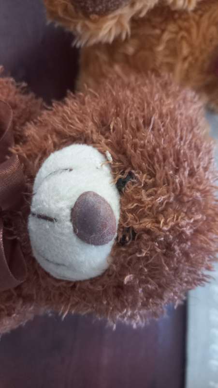 Teddy bears