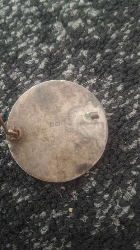 Vintage Sterling Silver enamel pin