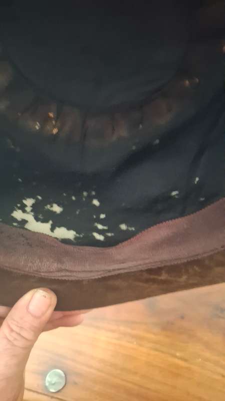 Vintage feader hat