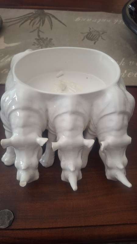 Rhino bowl by rialheim
