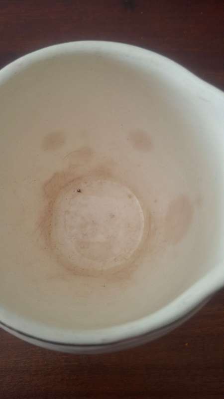 Brackenware milk and sugar bowls