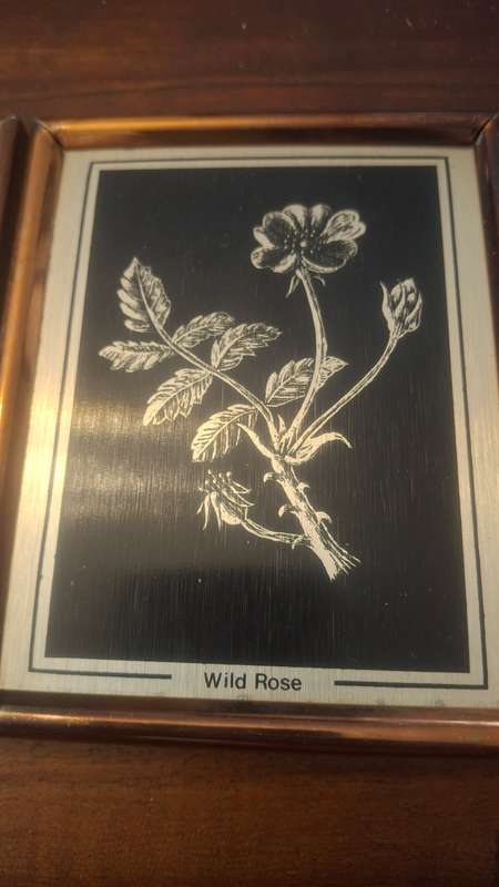 Vintage prints on metal
