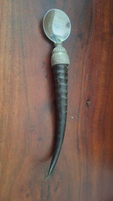 Spoon with springbok horn