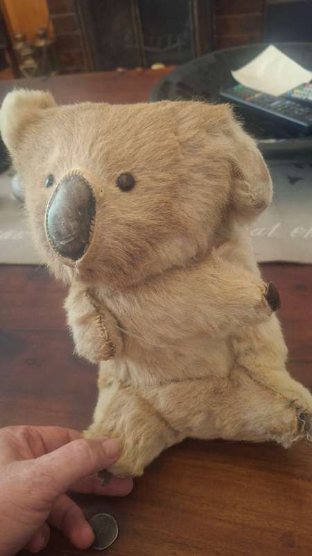 Vtg Koala Bear 1960 Australian Real Fur Stuffed Animal  Taxidermy, Glass Eyes