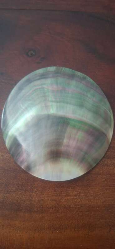 Black shell brooch